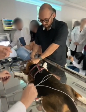 Ministério Público arquiva investigação de maus-tratos contra veterinário em Mossoró