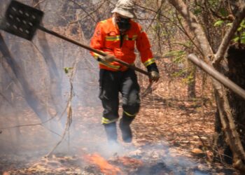 Incêndio de grandes proporções atinge área rural de Apodi e mobiliza bombeiros por seis horas