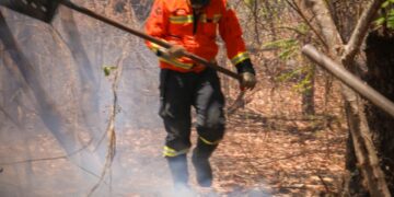 Incêndio de grandes proporções atinge área rural de Apodi e mobiliza bombeiros por seis horas