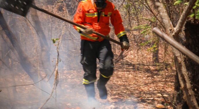 Incêndio de grandes proporções atinge área rural de Apodi e mobiliza bombeiros por seis horas