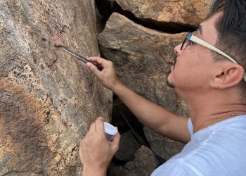 Pesquisadores identificam nova espécie de barbeiro no Rio Grande do Norte