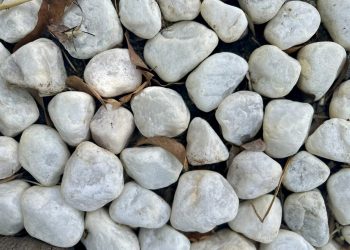 A coragem de não guerrear