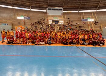 Projeto Cestinhas anuncia expansão para 2026