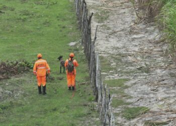 Corpo de Bombeiros do RN registra aumento nas ações de busca e salvamento e na captura de animais