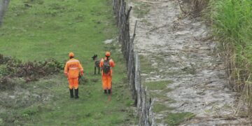Corpo de Bombeiros do RN registra aumento nas ações de busca e salvamento e na captura de animais