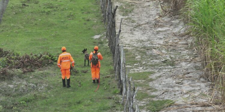 Corpo de Bombeiros do RN registra aumento nas ações de busca e salvamento e na captura de animais