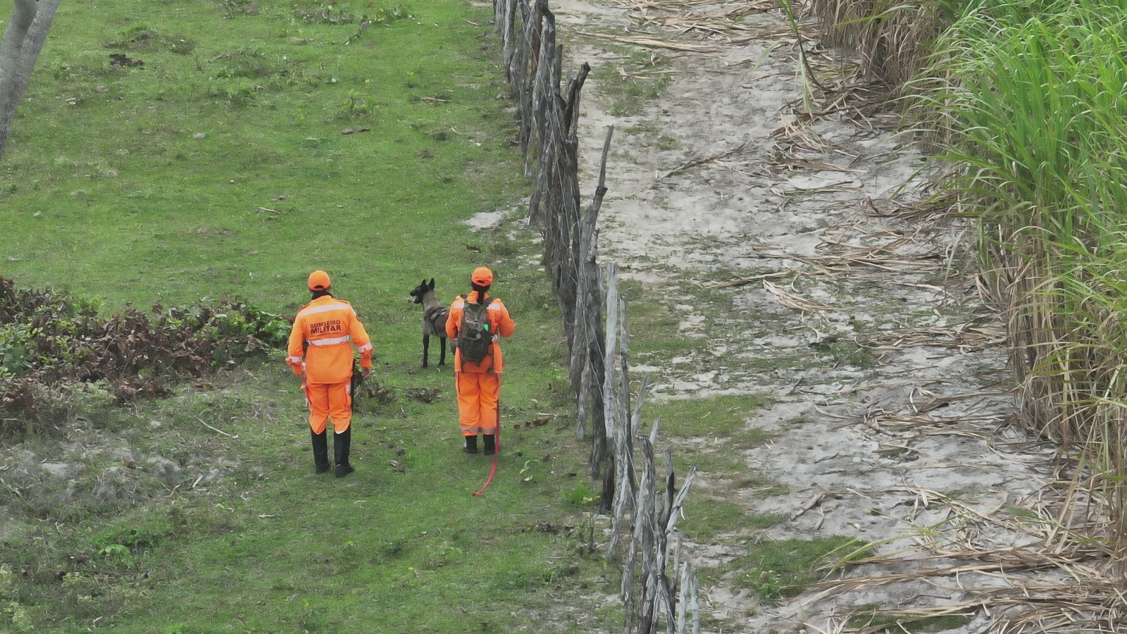 Corpo de Bombeiros do RN registra aumento nas ações de busca e salvamento e na captura de animais