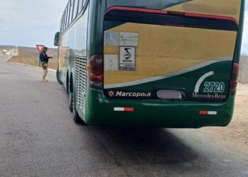 Motorista de ônibus é preso por uso de documento falso