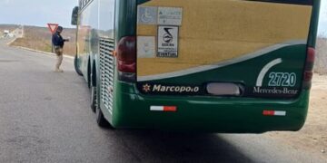 Motorista de ônibus é preso por uso de documento falso
