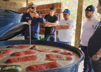 Agricultura Regenerativa: Sebrae amplia projeto no Baixo-Açu e chega à Serra do Mel