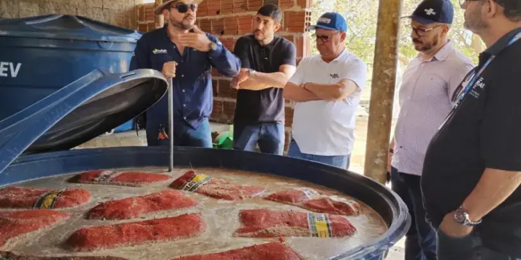 Agricultura Regenerativa: Sebrae amplia projeto no Baixo-Açu e chega à Serra do Mel