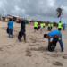Mutirão ambiental promove limpeza da praia em Tibau neste sábado (3)
