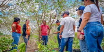 Programa oferece bolsas, formação superior e atuação em comunidades rurais do RN