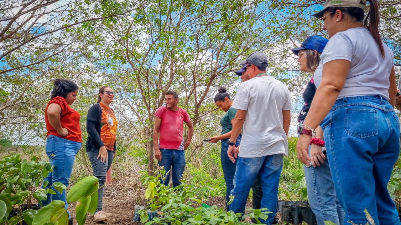 Programa oferece bolsas, formação superior e atuação em comunidades rurais do RN