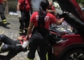 Bombeiros resgatam filhotes de gato presos em motor de carro em Mossoró