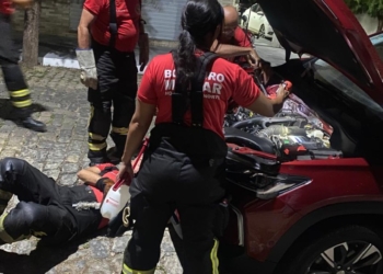 Bombeiros resgatam filhotes de gato presos em motor de carro em Mossoró