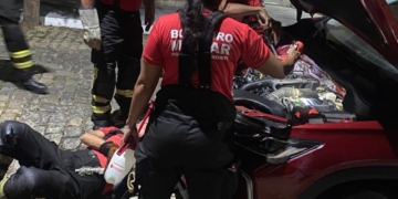 Bombeiros resgatam filhotes de gato presos em motor de carro em Mossoró