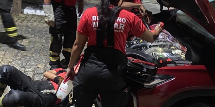 Bombeiros resgatam filhotes de gato presos em motor de carro em Mossoró