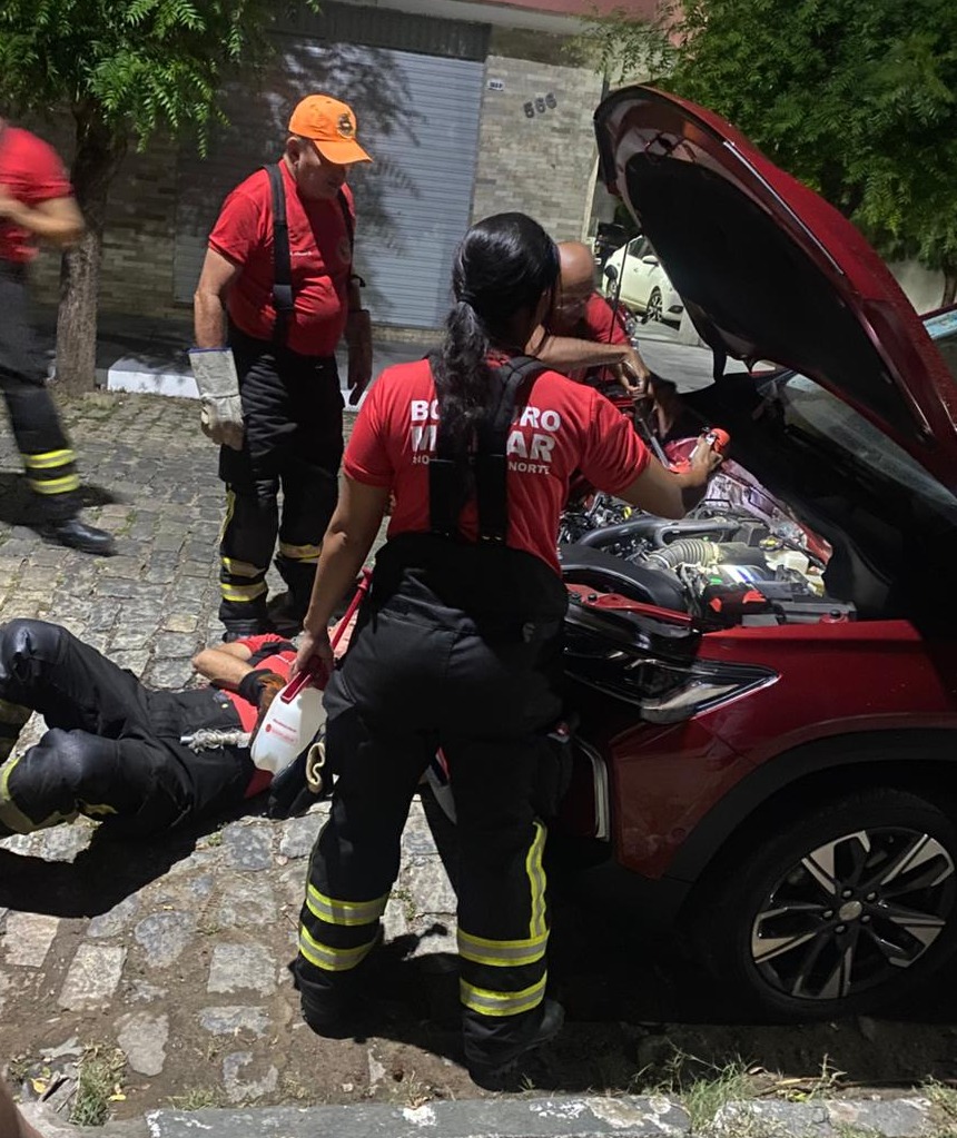 Bombeiros resgatam filhotes de gato presos em motor de carro em Mossoró