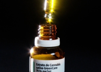 Anvisa amplia uso medicinal da cannabis e autoriza cultivo e venda em farmácias de manipulação