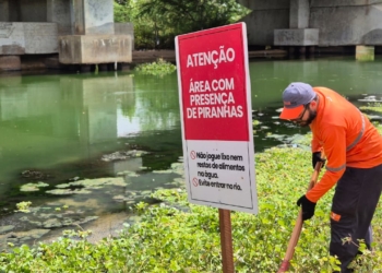 Placas alertam para risco de ataques de piranhas em trechos do Rio Açu, em Assú