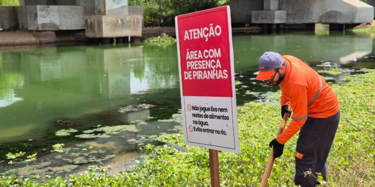 Placas alertam para risco de ataques de piranhas em trechos do Rio Açu, em Assú