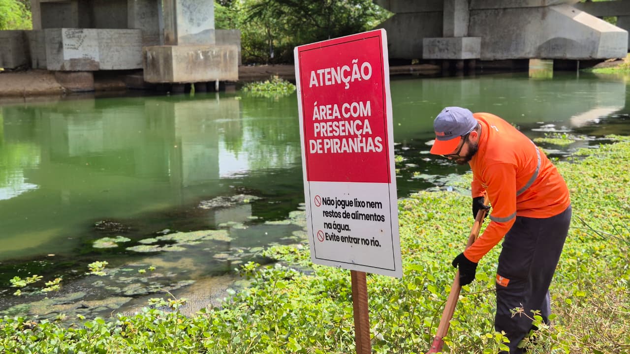 Placas alertam para risco de ataques de piranhas em trechos do Rio Açu, em Assú