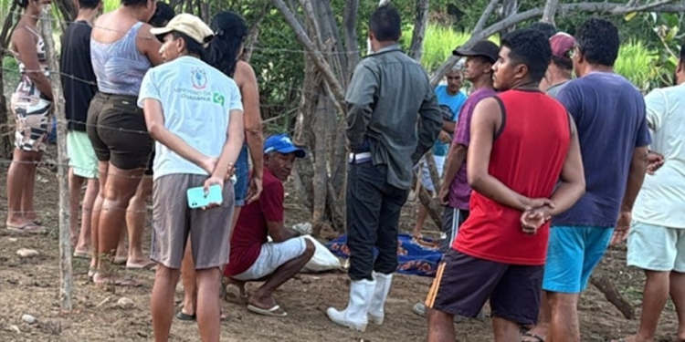 Homem morre após ataque de touro em curral na zona rural de Ipanguaçu