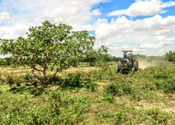 Prefeitura de Mossoró lança programa Semear 2026 e inicia entrega de diesel para corte de terra