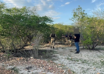 Adolescente de 17 anos é encontrada morta em estrada rural de Assú