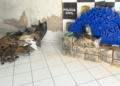Polícia Militar apreende mais de 250 kg de maconha enterrada no Jucuri