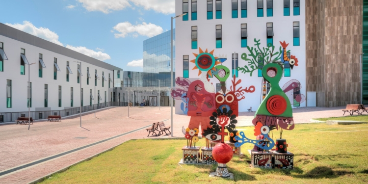 Uern inicia mutirão de histeroscopias no Hospital da Mulher em Mossoró a partir de segunda (9)