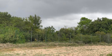 Emparn prevê chuvas dentro da normalidade entre março e maio no RN