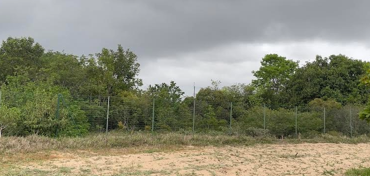 Emparn prevê chuvas dentro da normalidade entre março e maio no RN