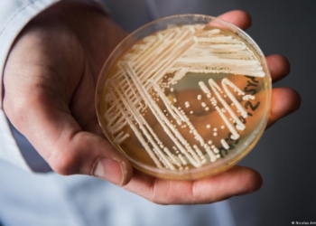 Sesap confirma novo caso de “superfungo” em hospital de Natal